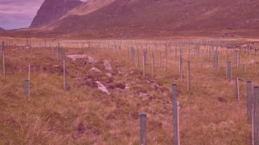 Natural Capital - The Changing Landscape